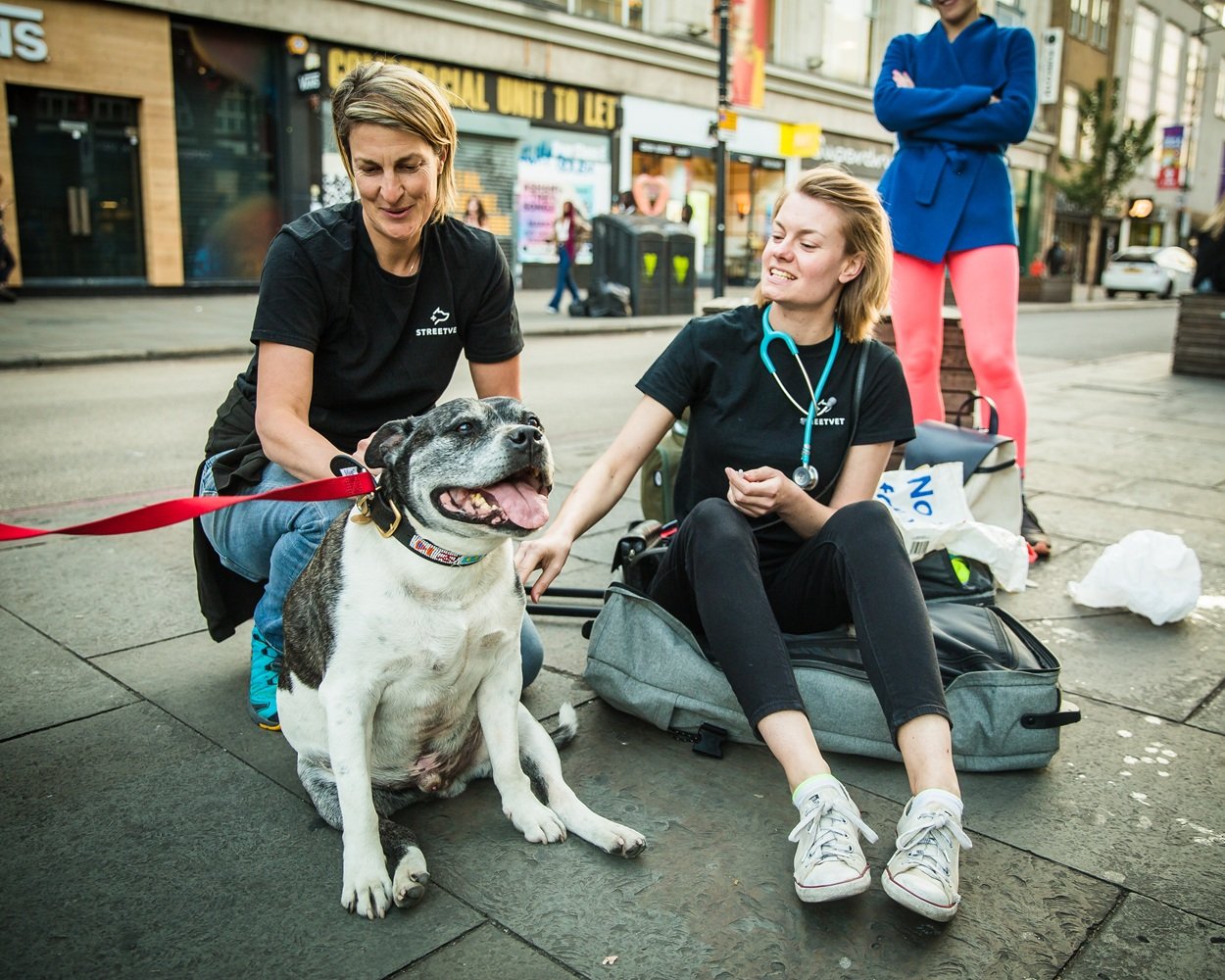 StreetVet workers helping a dog in need