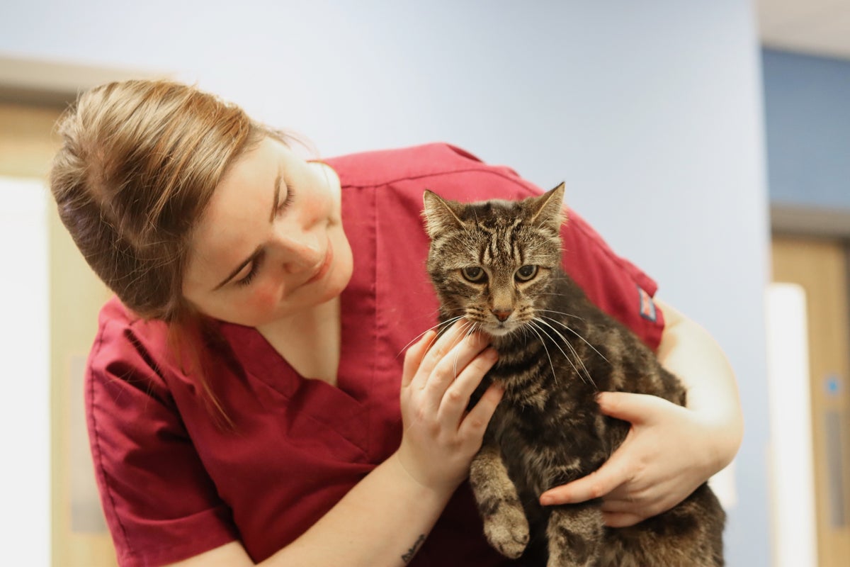 <font size="6" color="#0069d9">Scaling Up Sustainability: How CVS Summerwood Sets a New Standard for Environmental Innovation</font>